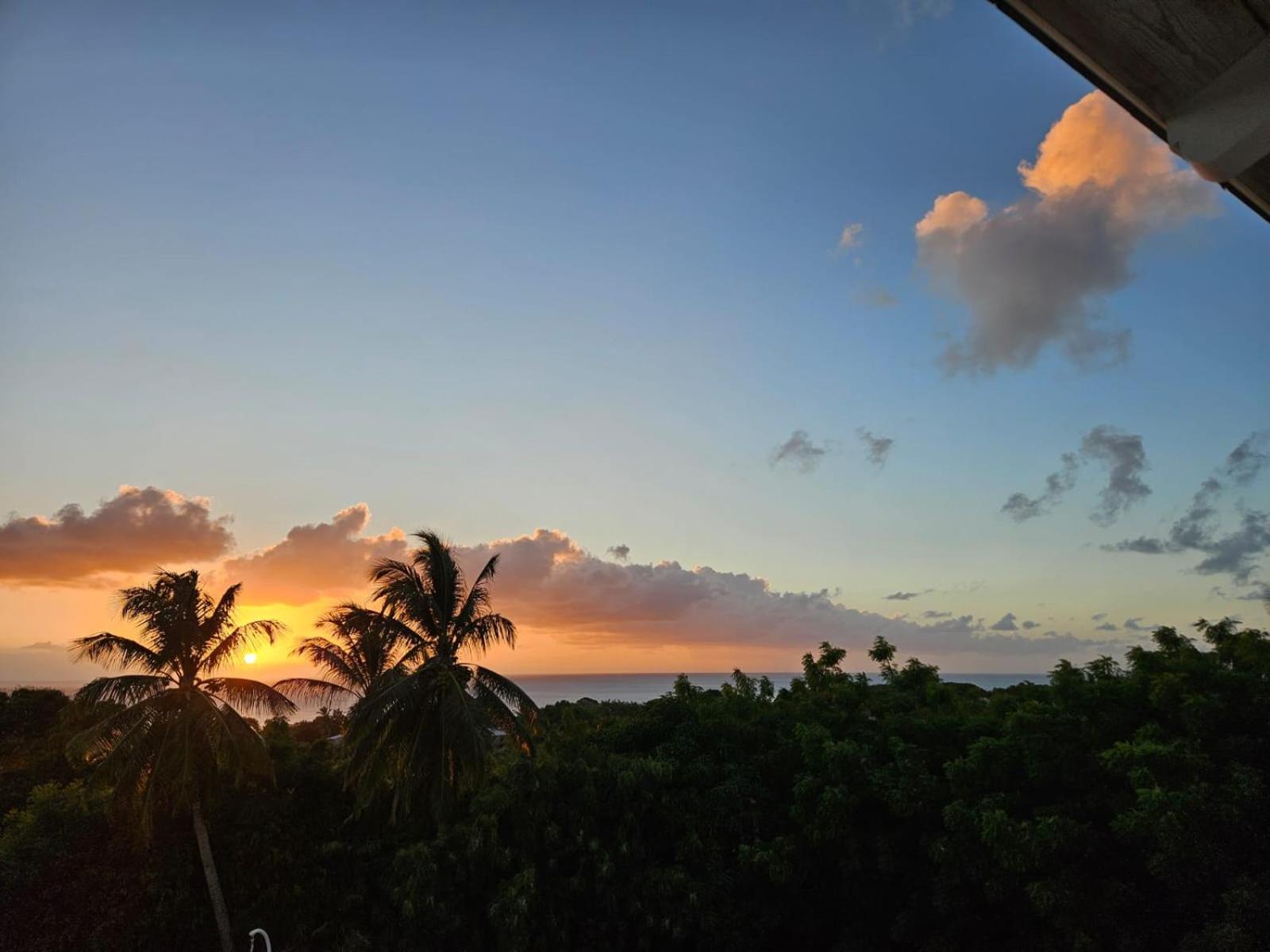 Purple Haze - Infinity Pool Holiday Home Minutes From The Island'S Best Beaches Saint James Extérieur photo