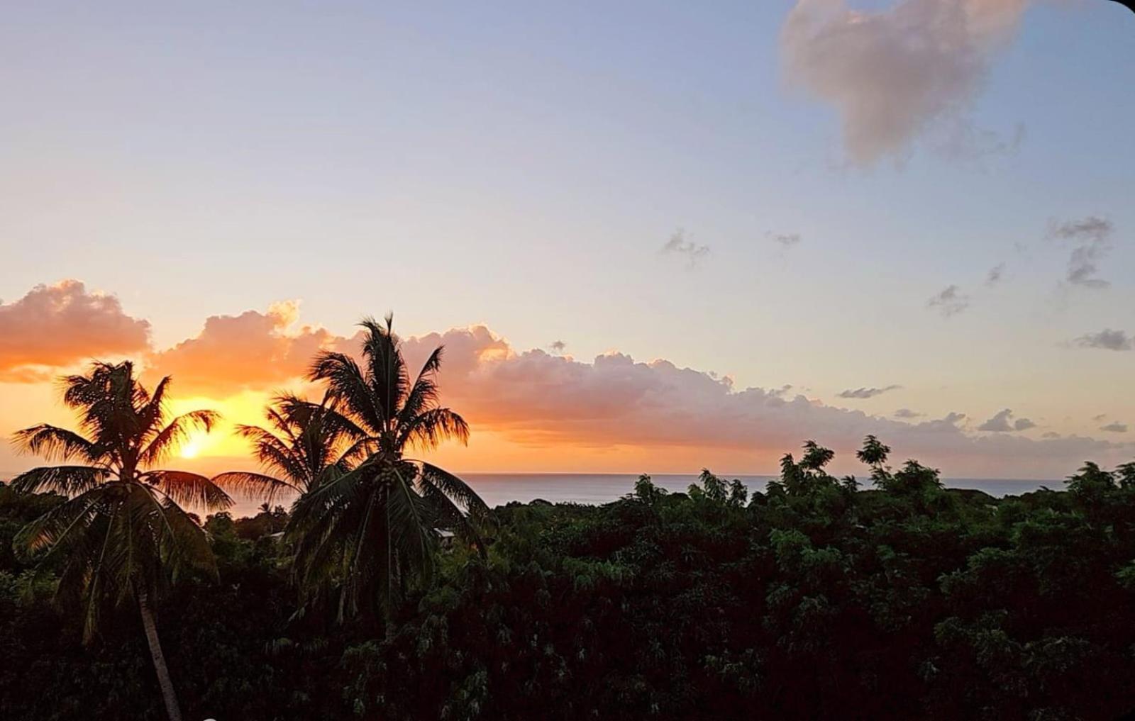 Purple Haze - Infinity Pool Holiday Home Minutes From The Island'S Best Beaches Saint James Extérieur photo