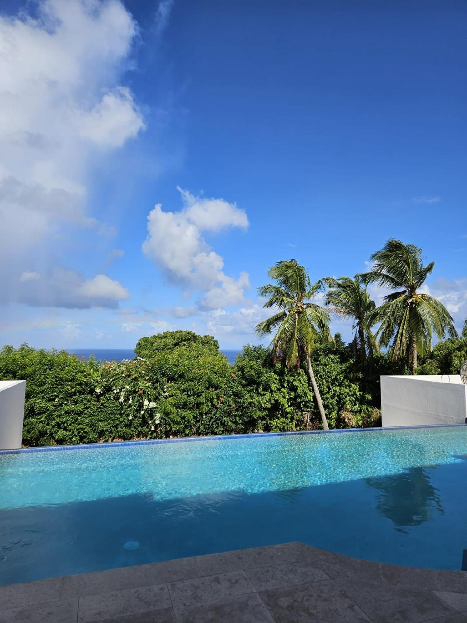 Purple Haze - Infinity Pool Holiday Home Minutes From The Island'S Best Beaches Saint James Extérieur photo